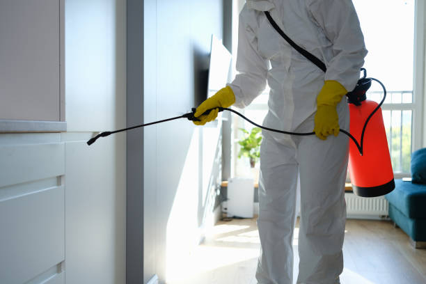 Crawl Space Mold Removal in Mount Holly Springs, PA