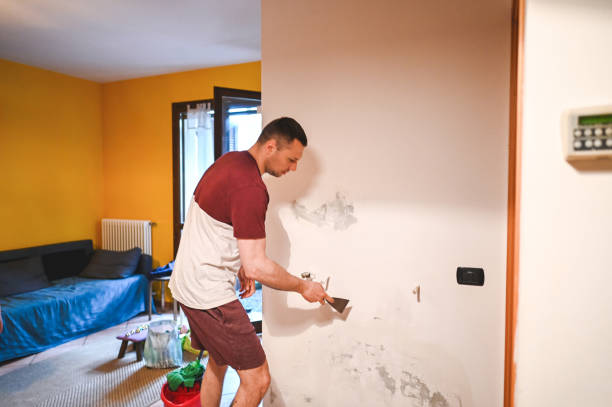 Best Mold Remediation  in Mount Holly Springs, PA